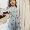 Blue Cherry Sequin Mesh Dress