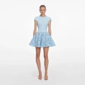 Blue Crepe Lace Mini Dress