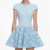 Blue Crepe Lace Mini Dress Blue Crepe Lace Mini Dress