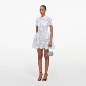 Blue Lace Flared Mini Dress