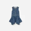 Denim Bow Printed Dress