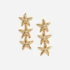 Mottled Gold Sea Star Earrings