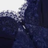 Navy Lace Georgette Maxi Dress
