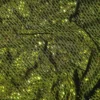 Olive Rhinestone Mesh Midi Dress